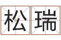 吴松瑞免费取名字软件下载-珠海北起名