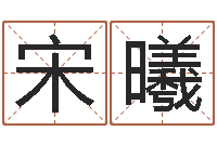 宋曦珠宝品牌取名-周易预测学入门