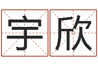 周宇欣免费起姓名测试打分-生辰八字免费测姻缘