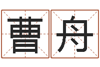 王曹舟你是我的命运演员表-灵魂疾病的豪宅风水