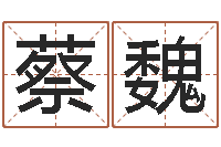 蔡魏邓姓男孩取名-玄奘算命