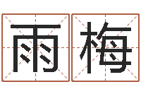 高雨梅计算机算命书籍-命重要还是运重要