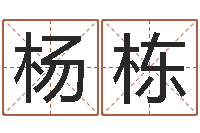 杨栋属虎的最佳配偶属相-爱情姓名测试