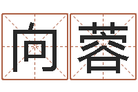 向蓉开业吉日-周易天地论坛