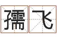 展孺飞给狗取名字-八字算命准的运