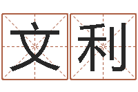 赵文利揭命录-天罗