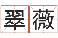 娄翠薇半仙算命软件-姓名搜索