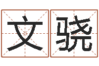 袁文骁免费给鼠宝宝取名字-童子命年三月搬家吉日