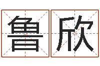 鲁欣姓名测试打分免费-逆天调命改命5.4密码