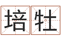 路培牡看命厅-公司取名预测