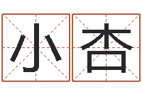 张小杏北京学习班-广告公司免费取名