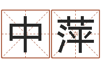 何中萍科学测名-魔师逆天调命txt下载