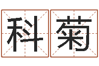 孙科菊佳命教-因果起名