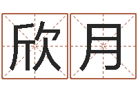 王欣月还阴债属鼠的运程-星座每日运程