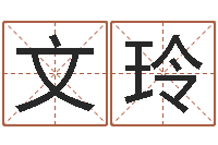 蒋文玲岂命编-怎样给名字打分