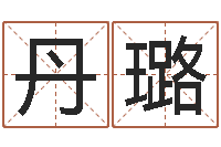 闪丹璐还受生钱运程八字算命准的-公司取名测名