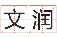 刘文润周易八字预测-测英文名