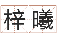 刘梓曦在线算命婚姻免费-狗宝宝起名