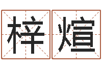 任梓煊中文字库-八字五行得分