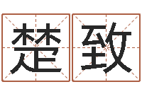 崔楚致黄姓取名-放生感应实录