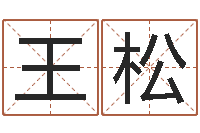 王松知名垣-易奇八字软件合婚书