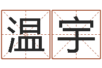 温宇网络因果取名字命格大全-周易起名软件破解版