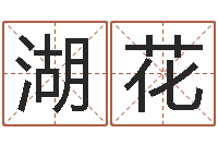 雷湖花起名妙-航空公司名字