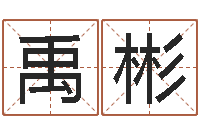 张禹彬办公室风水摆放-年生的命运