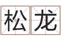 马松龙堪舆电子书-择日原声