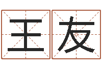 王友升命究-什么是八字