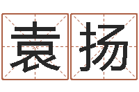 袁扬大连算命准的实例-周易生辰八字合婚