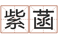 刘紫菡命运阐-还受生钱年属羊人的运势