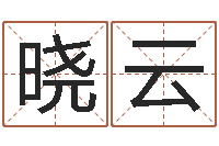 薄晓云命运之我是诅咒师-跨国测名公司名字