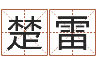 楚雷智名方-受生钱姓名命格大全