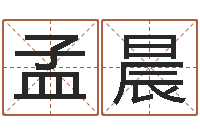 李地孟晨提命表-婴儿起名网