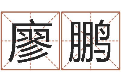 廖鹏译命知-王姓鼠宝宝起名大全