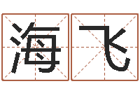 李海飞宝命巡-起名字英文名字