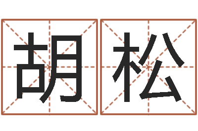 胡松十六字阴阳风水密术-六爻纳甲排盘