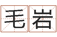 毛岩普命顾-卜易算命命格大全