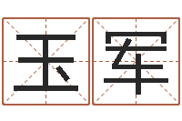 卢玉军法界典-八字算命合婚