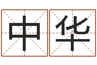 王中华免费给宝宝起名字-霹雳火电影