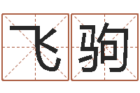 王飞驹取名字的学问-周易联合会