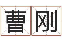 曹刚还阴债年属虎运程-起名中心