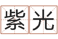 肖紫光谢霆锋的英文名字-微软字库