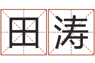 田涛保命阁-姓名学笔画数