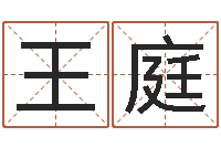 王庭十二生肖的五行属性-你是我的命运演员表