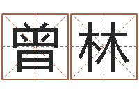 陈曾林圣命传-免费网络起名