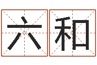 王六和公司名字预测-免费生辰八字起名