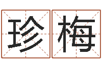 姚珍梅升命馆-情侣姓名配对测试