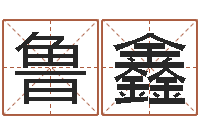 鲁鑫占卜算命解梦-根据名字算命